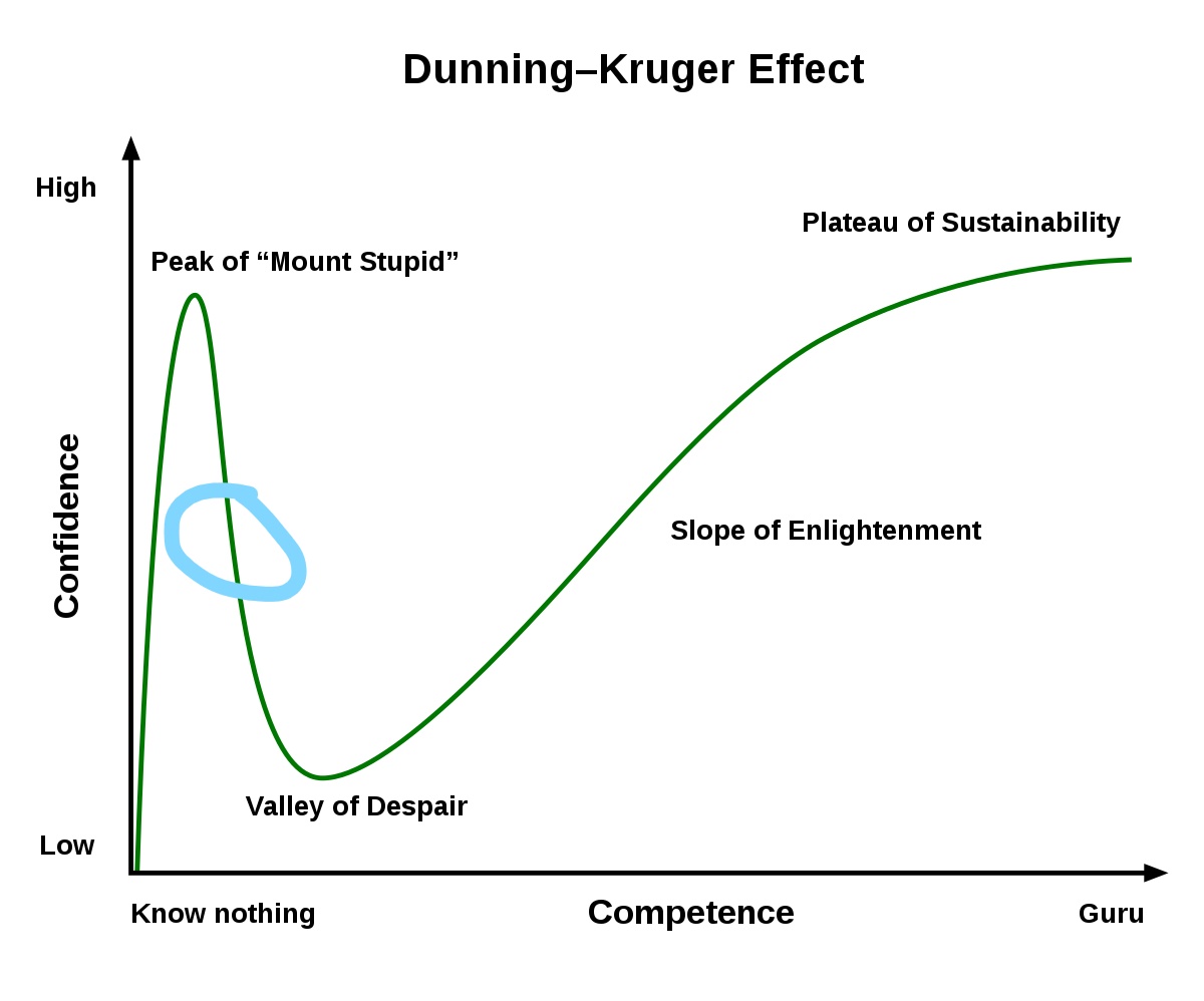 1200px-Dunning–Kruger_Effect_01.svg_LI.jpg