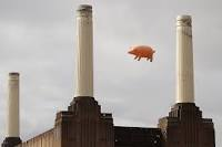 50398