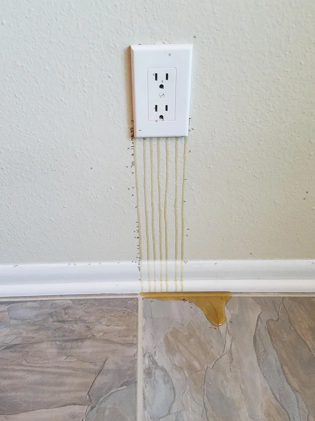 1580664904249.png