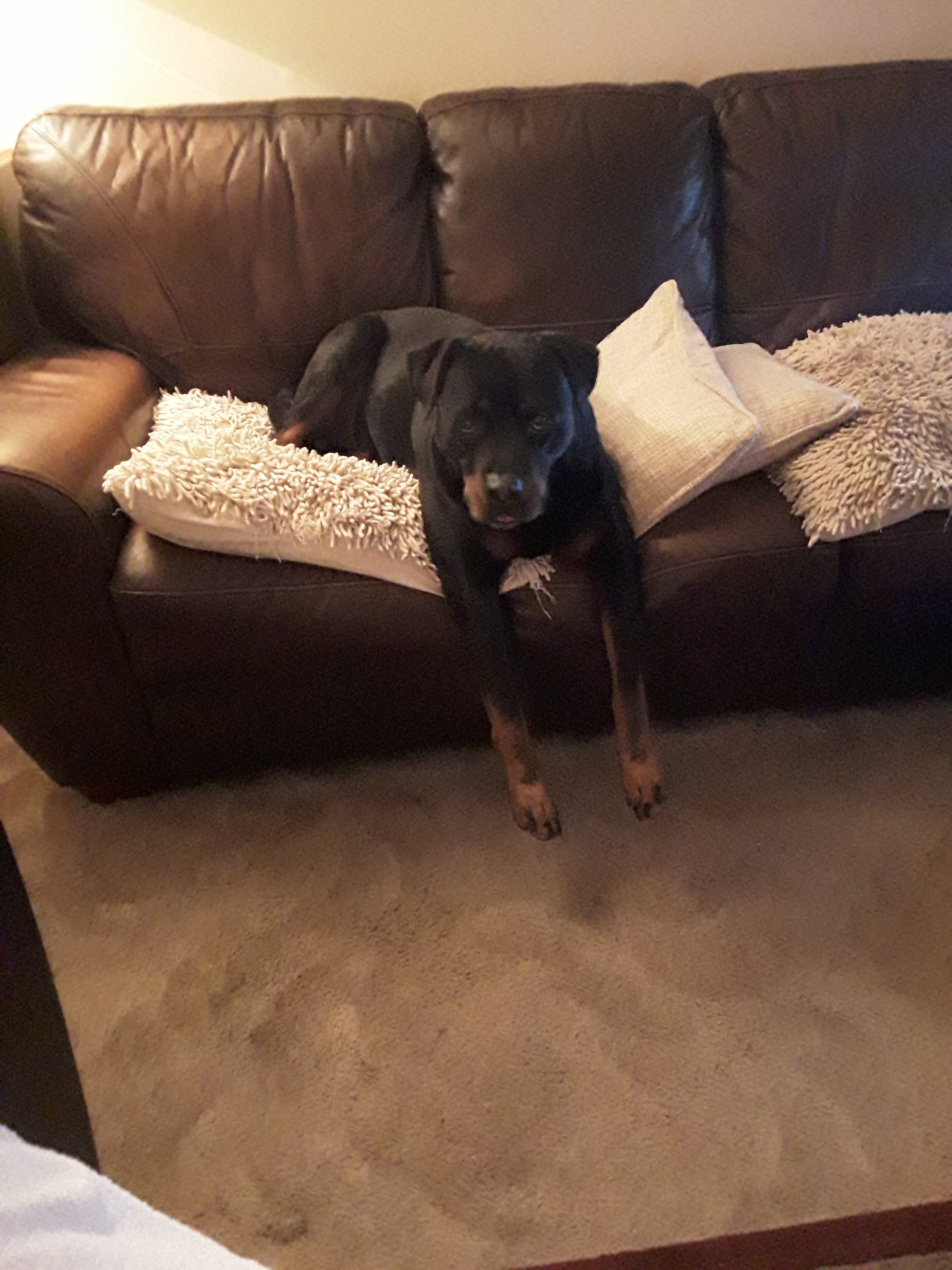 20160917_200631.jpg