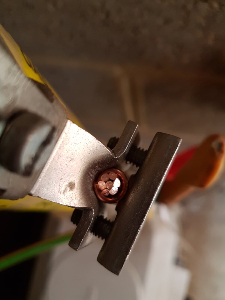 20190604_153034.jpg
