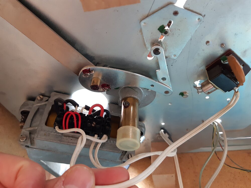 20201004_144254.jpg