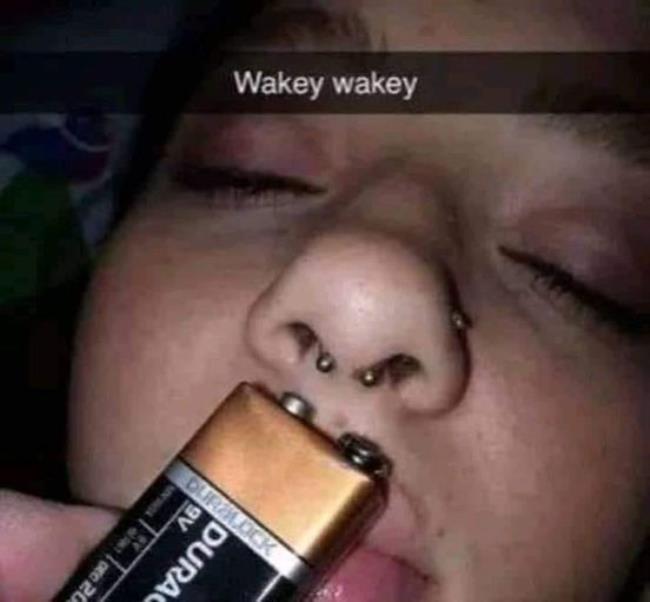 50554.jpg