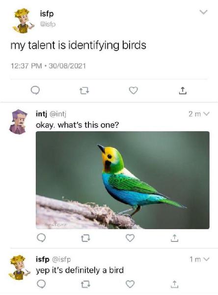 54010.jpeg