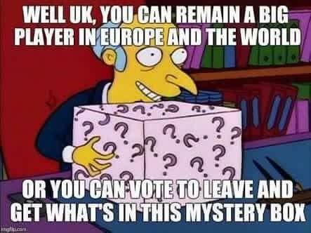burns_brexit_mystery_box.jpg