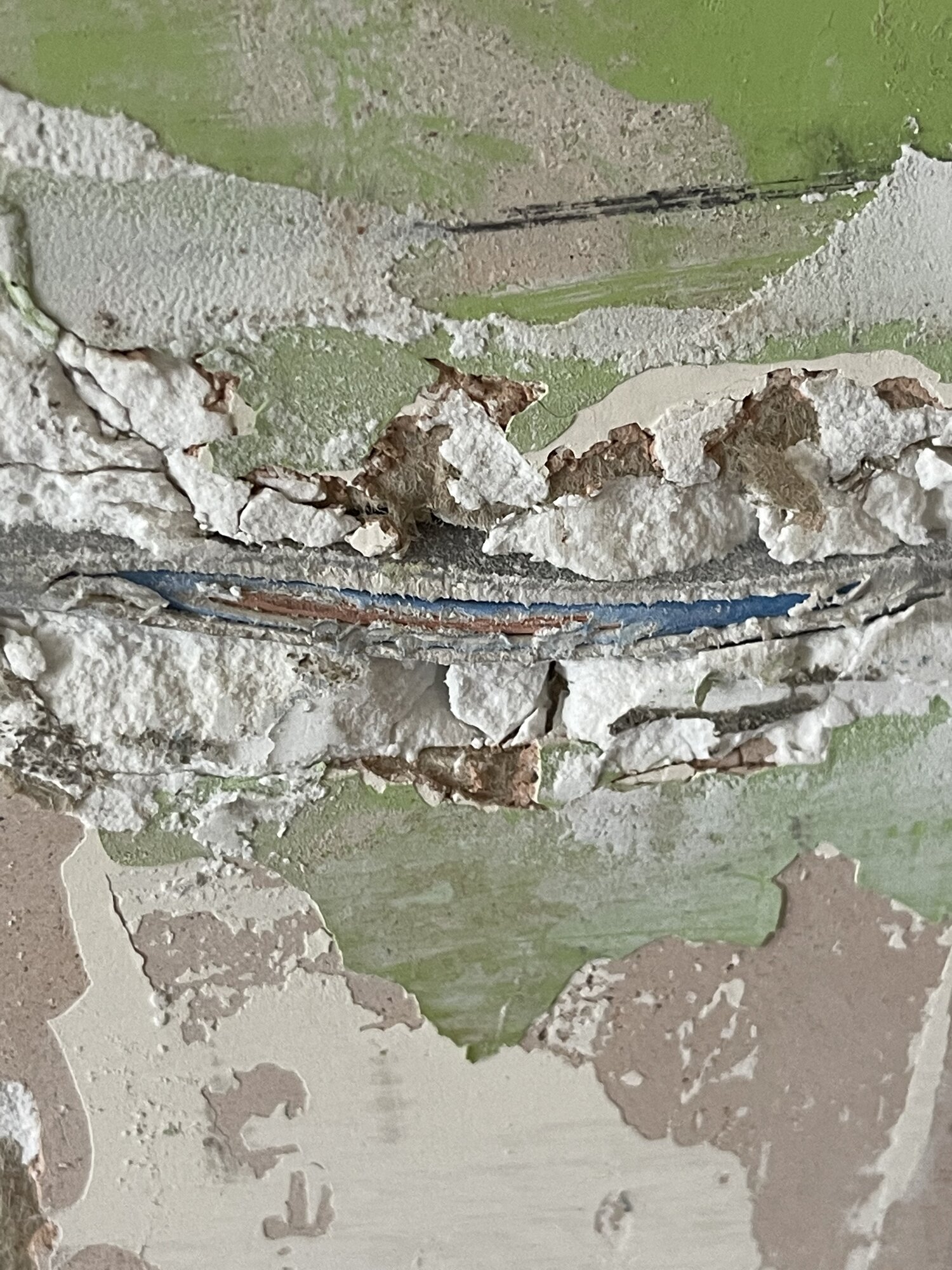C6316020-F6B3-4A1E-8DAB-B22466E53A79.jpeg