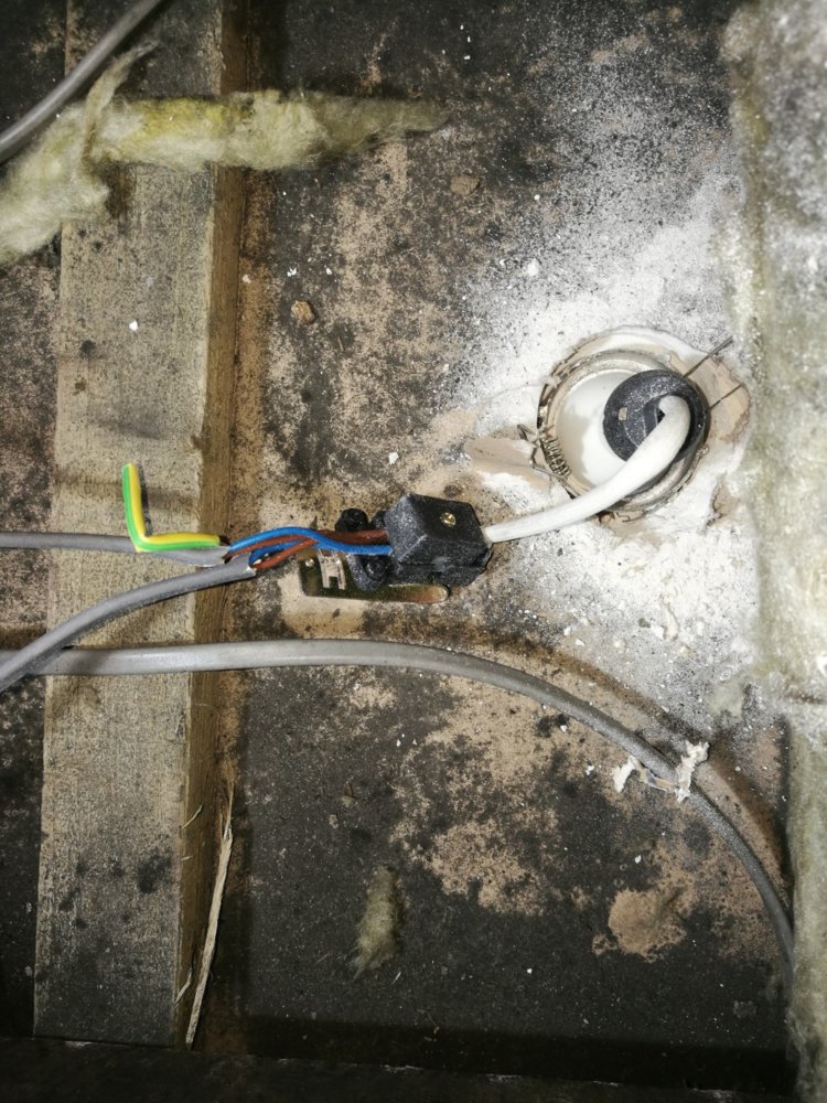 Downlight 1.jpg
