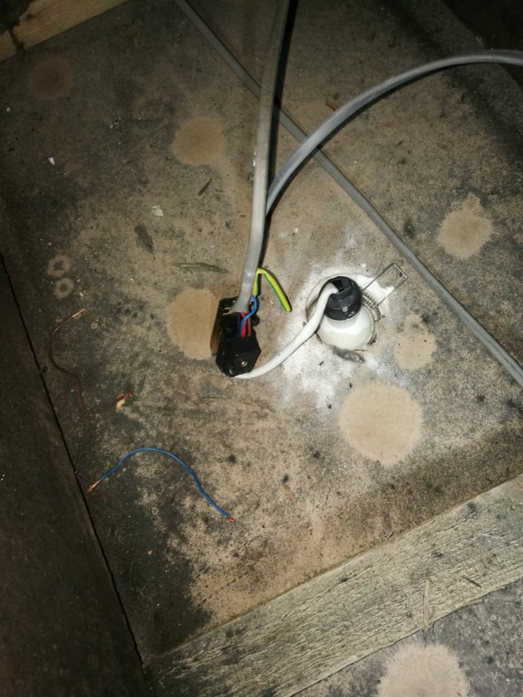 Downlight 2.jpg