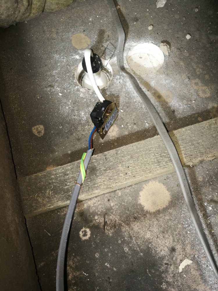 Downlight 3.jpg