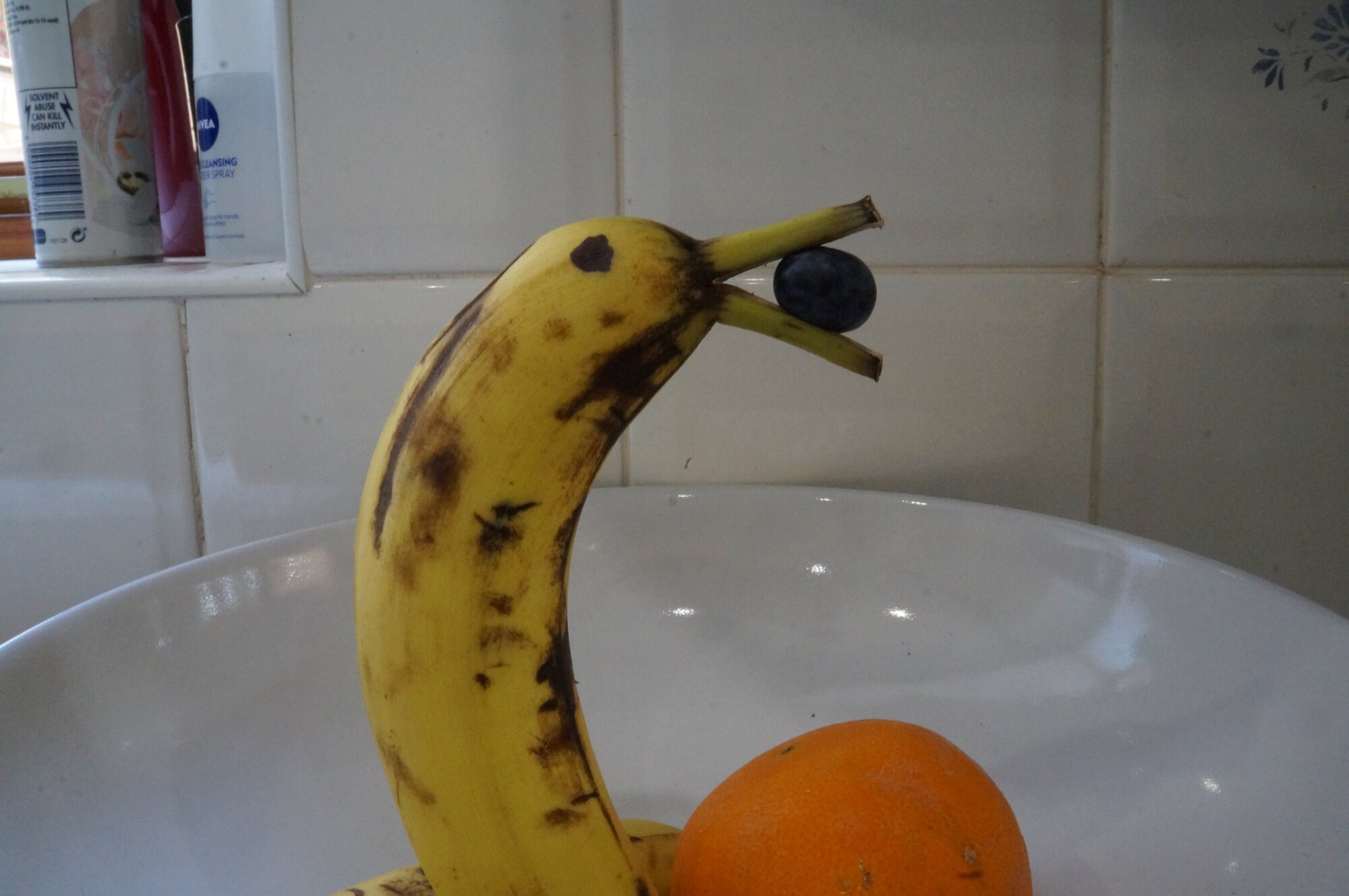 DSC02157.jpeg