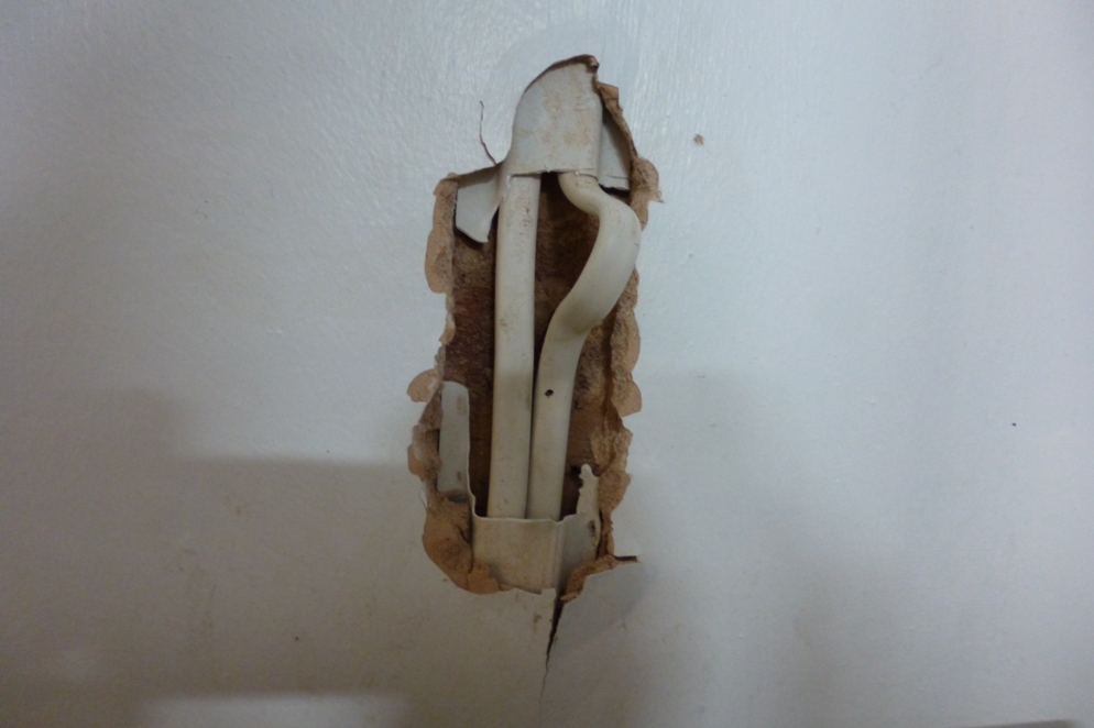 echo nail1.JPG