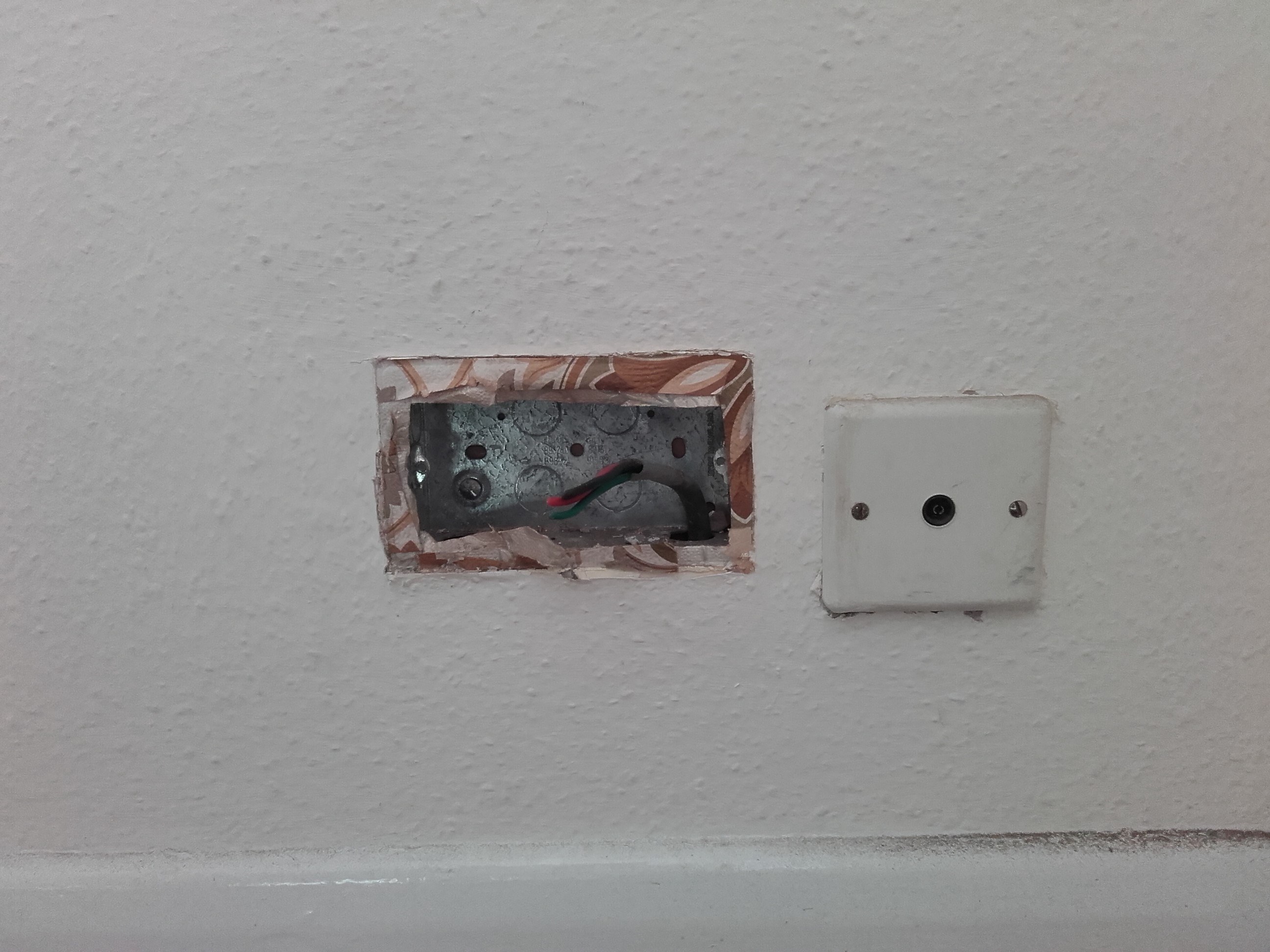 Echo no.jpg