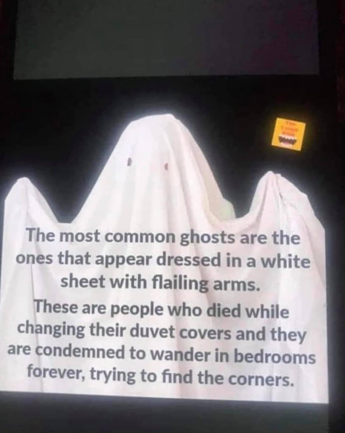 Hallowene.jpeg