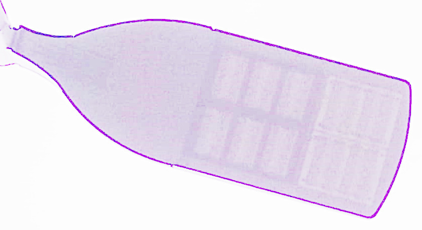 imageedit_5_3164868658.jpg