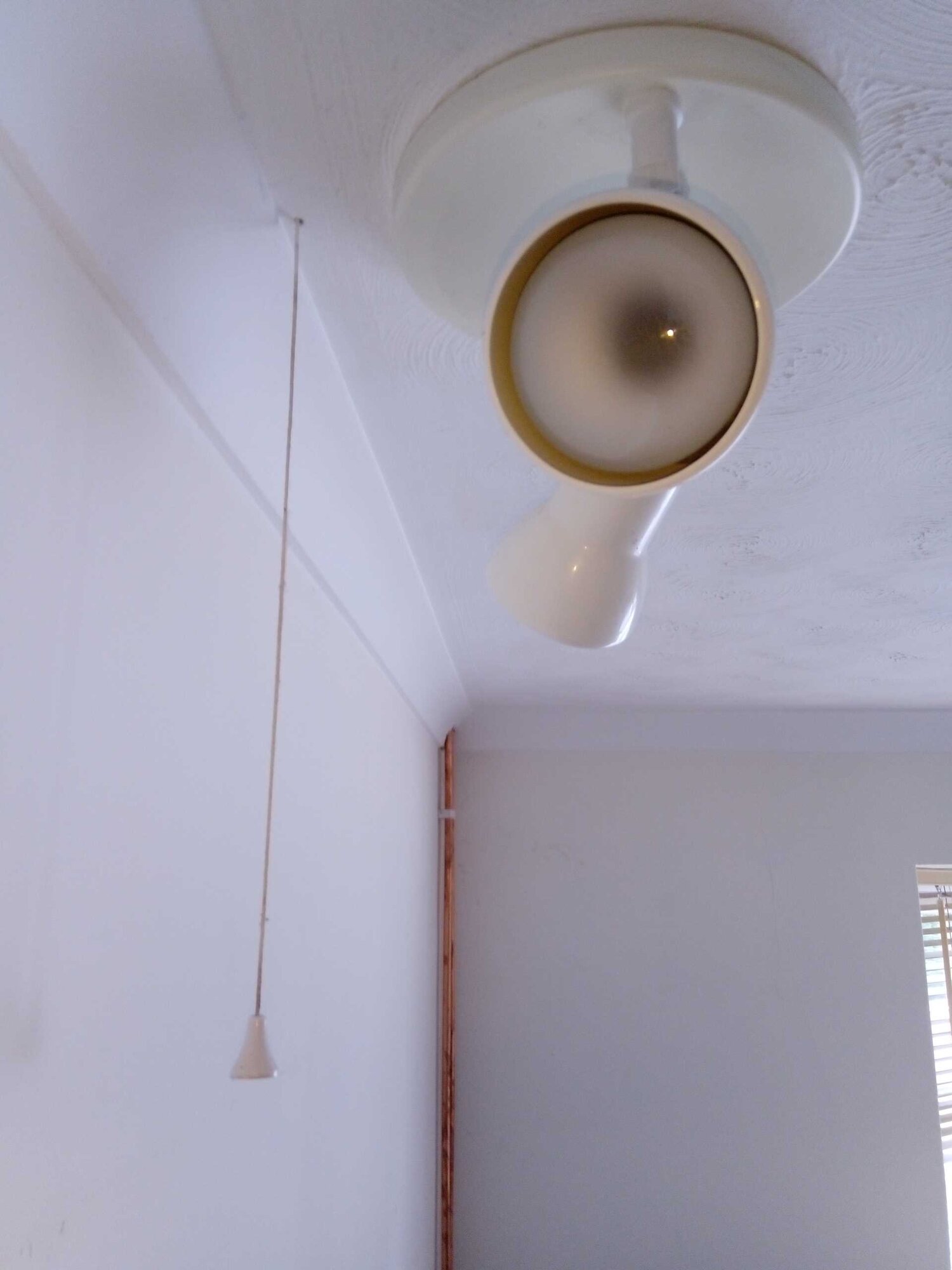 Light-1.jpg
