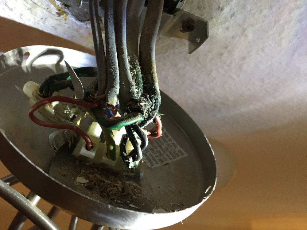 light wires bkrm.JPG