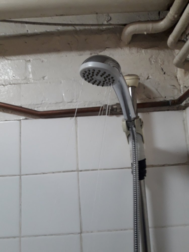showr.jpg