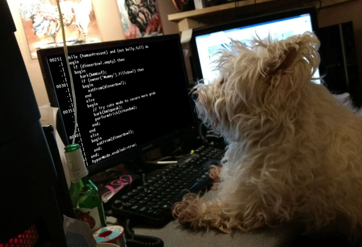 TiaDebuggingCode.jpg