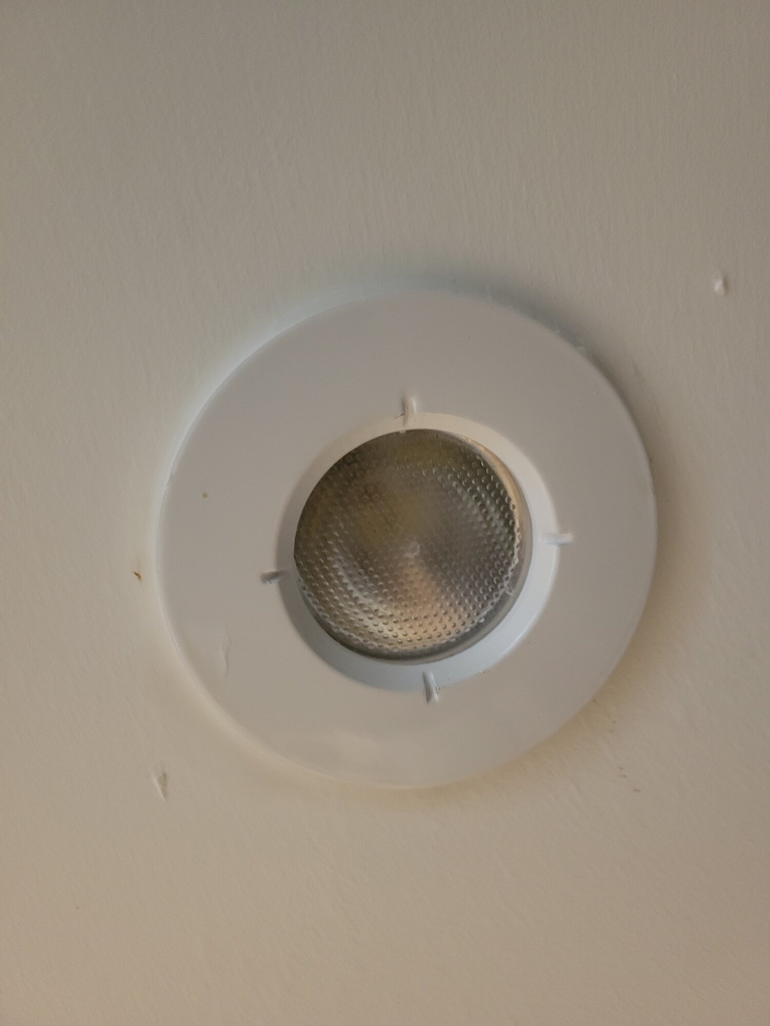 20220405_201139.jpg