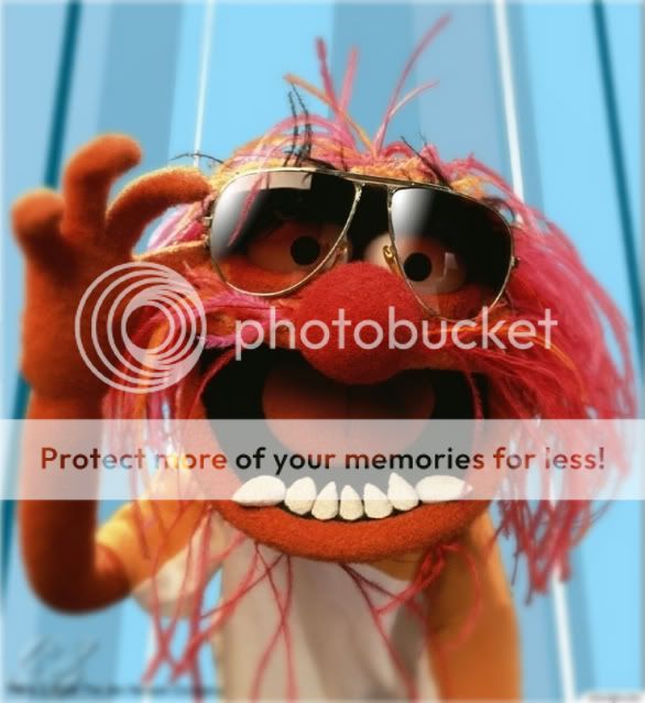 animal_muppet_13.jpg