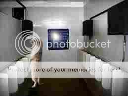 images-6-1.jpg
