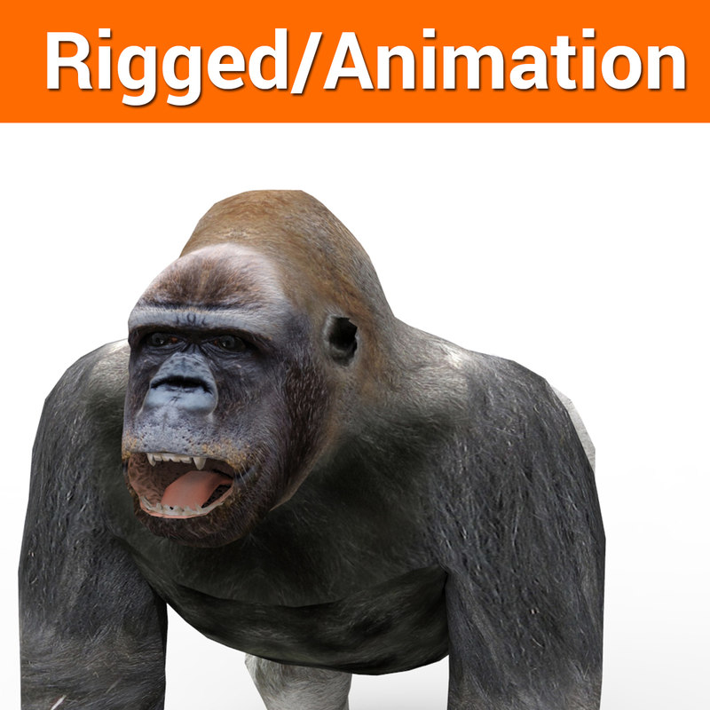 3D-model-gorilla-rigged-animation_D.jpg