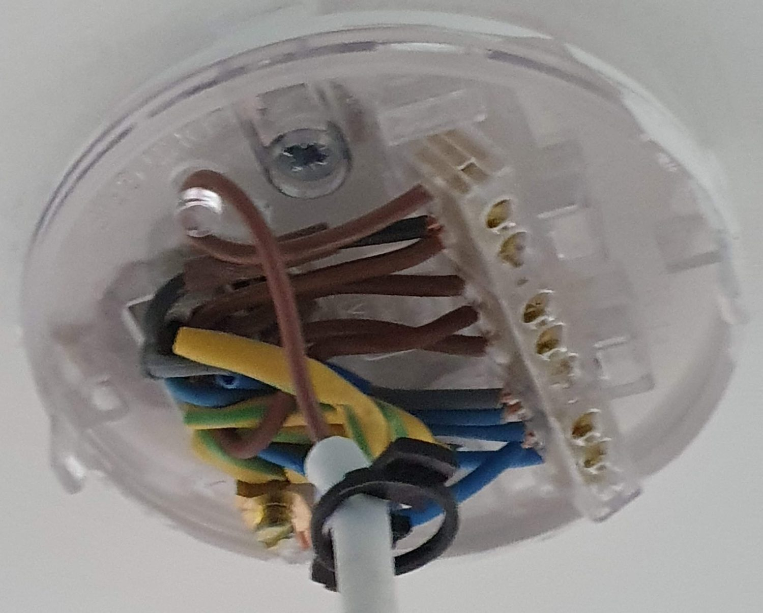 Changing a light pendant (with 4 wires) to light fitting {filename} | ElectriciansForums.net